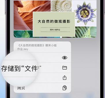 皇姑apple维修中心分享iPhone文件应用中存储和找到下载文件