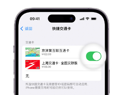 皇姑apple维修点分享iPhone上更换Apple Pay快捷交通卡手绘卡面 