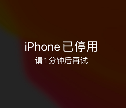 皇姑苹果手机维修分享:iPhone 显示“不可用”或“已停用”怎么办？还能保留数据吗？ 