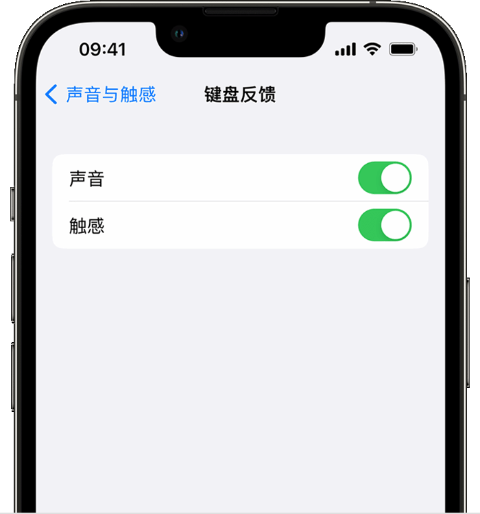 皇姑苹果14维修店分享如何在 iPhone 14 机型中使用触感键盘 