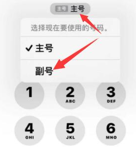 皇姑苹果14维修店分享iPhone 14 Pro Max使用副卡打电话的方法 