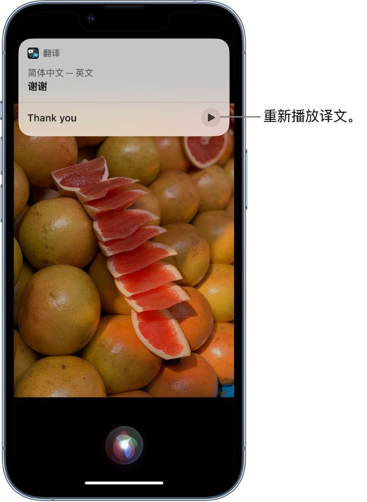 皇姑苹果14维修分享 iPhone 14 机型中使用 Siri：了解 Siri 能帮你做什么 