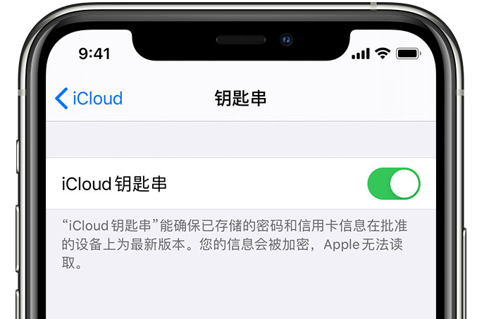 皇姑苹果手机维修分享在 iPhone 上开启 iCloud 钥匙串之后会储存哪些信息 