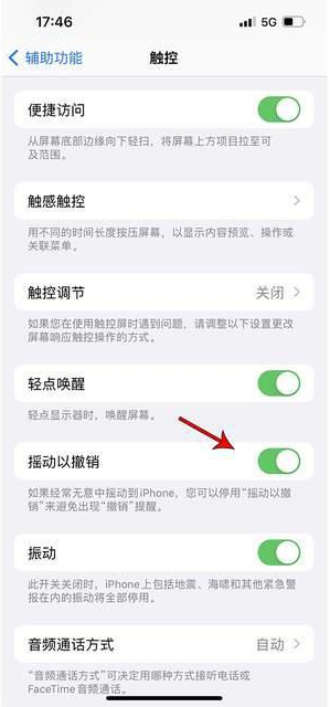 皇姑苹果手机维修分享iPhone手机如何设置摇一摇删除文字 